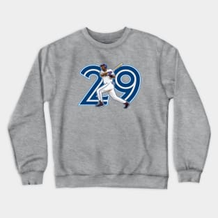 29 - Joe Crewneck Sweatshirt